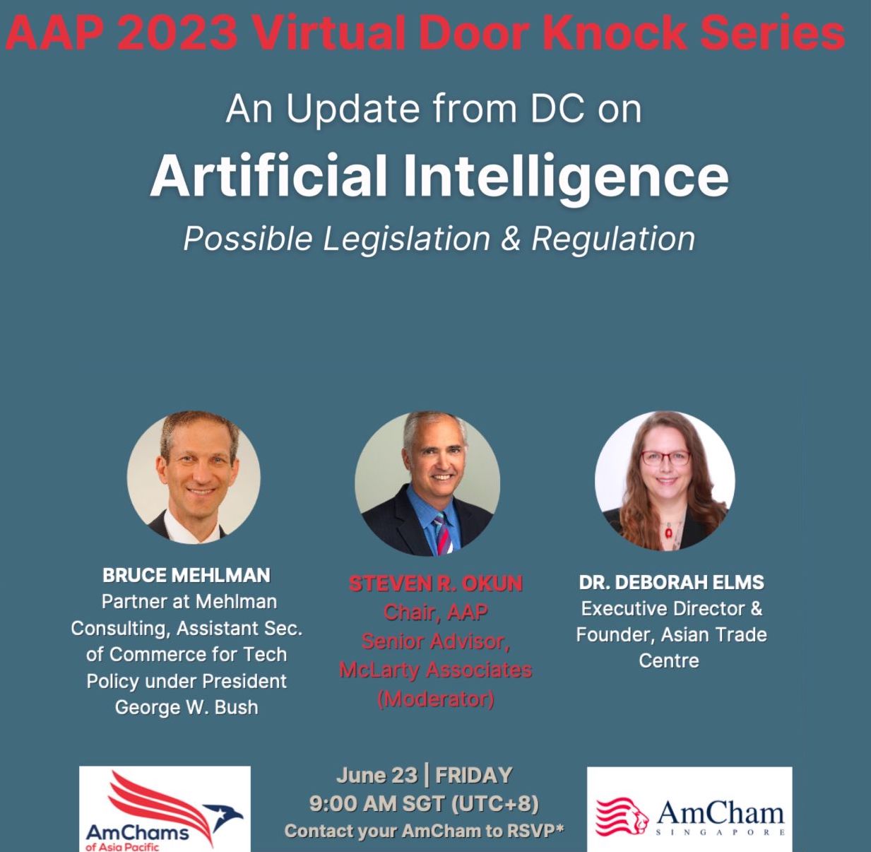 AAP 2023 Virtual Door Knock Series An Update from DC on AI Possible